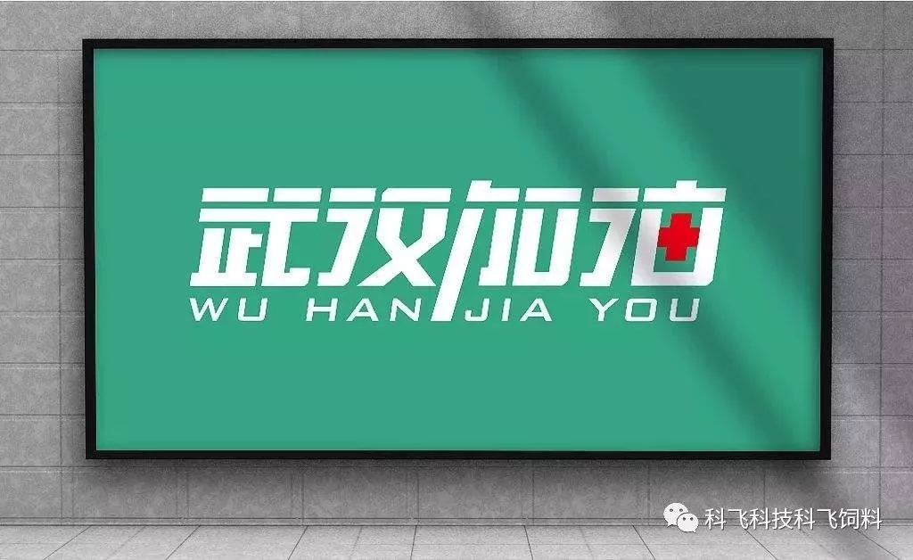 640_wx_fmt=jpeg&tp=webp&wxfrom=5&wx_lazy=1&wx_co=1.webp (10).jpg 640_wx_fmt=jpeg&tp=webp&wxfrom=5&wx_lazy=1&wx_co=1.webp (10).jpg